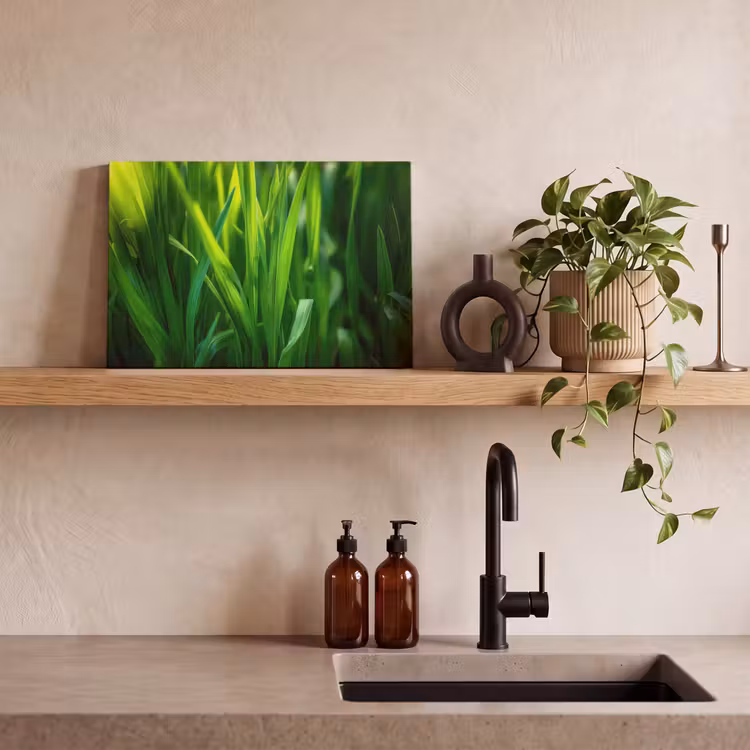 Canvas schilderij - Grassprieten - Lichtinval - Groen — 3