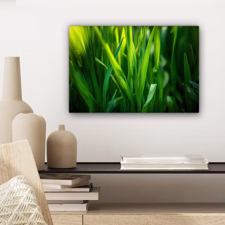 Canvas schilderij - Grassprieten - Lichtinval - Groen — 5
