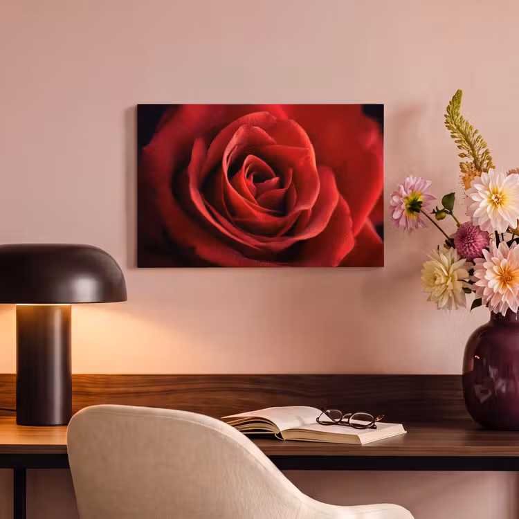 Canvas schilderij - Rood - Roos - Romantisch — 4