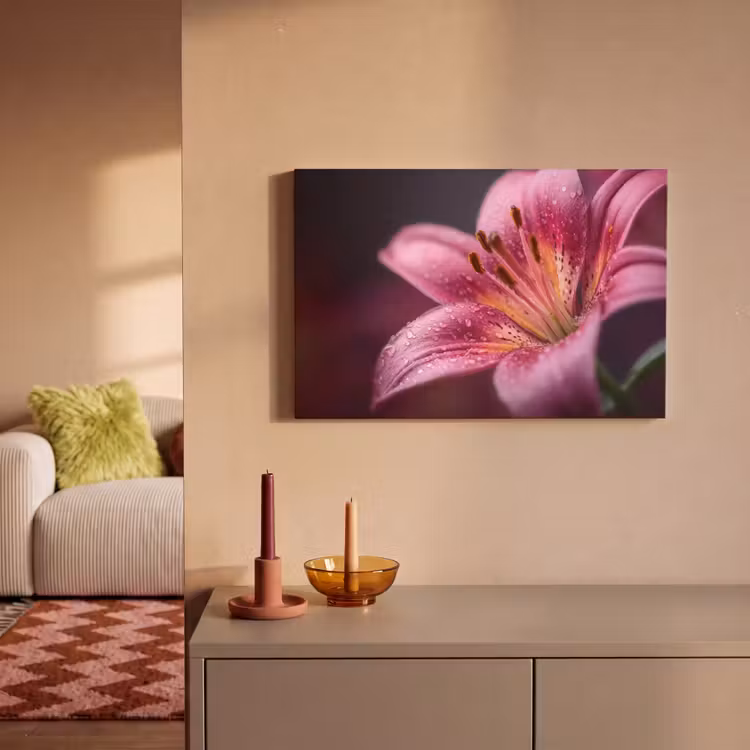 Canvas schilderij - Roze - lelie - Dauwdruppels — 2