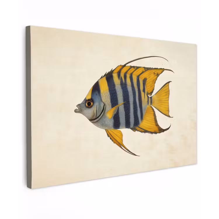 Canvas schilderij - Vis - Sierlijk - Vinnen - Illustratie — 1