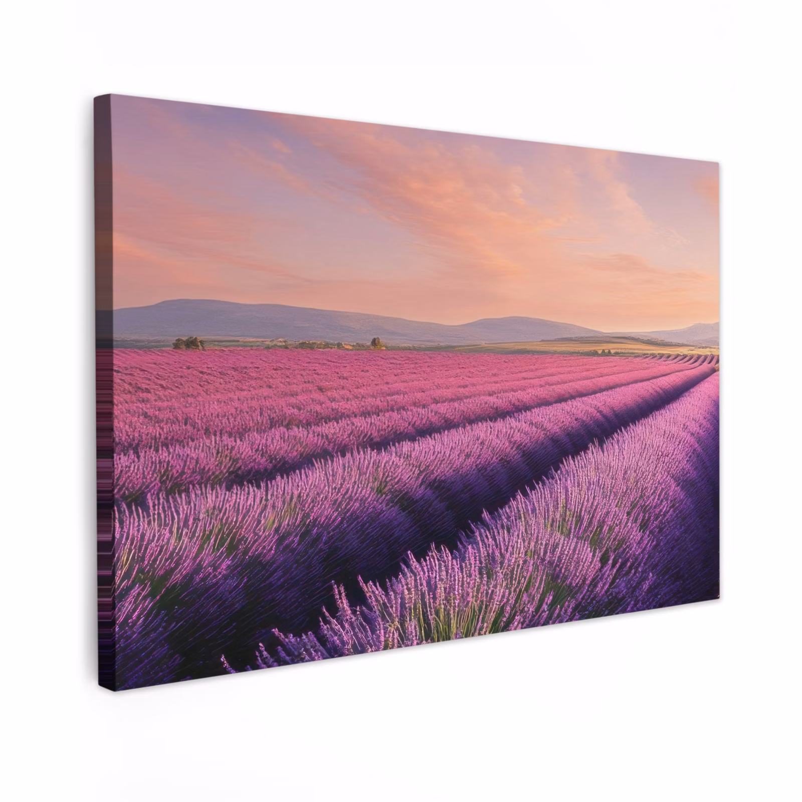 Canvas schilderij - Lavendelveld - Zonsondergang - Paars - Bloemen — 1
