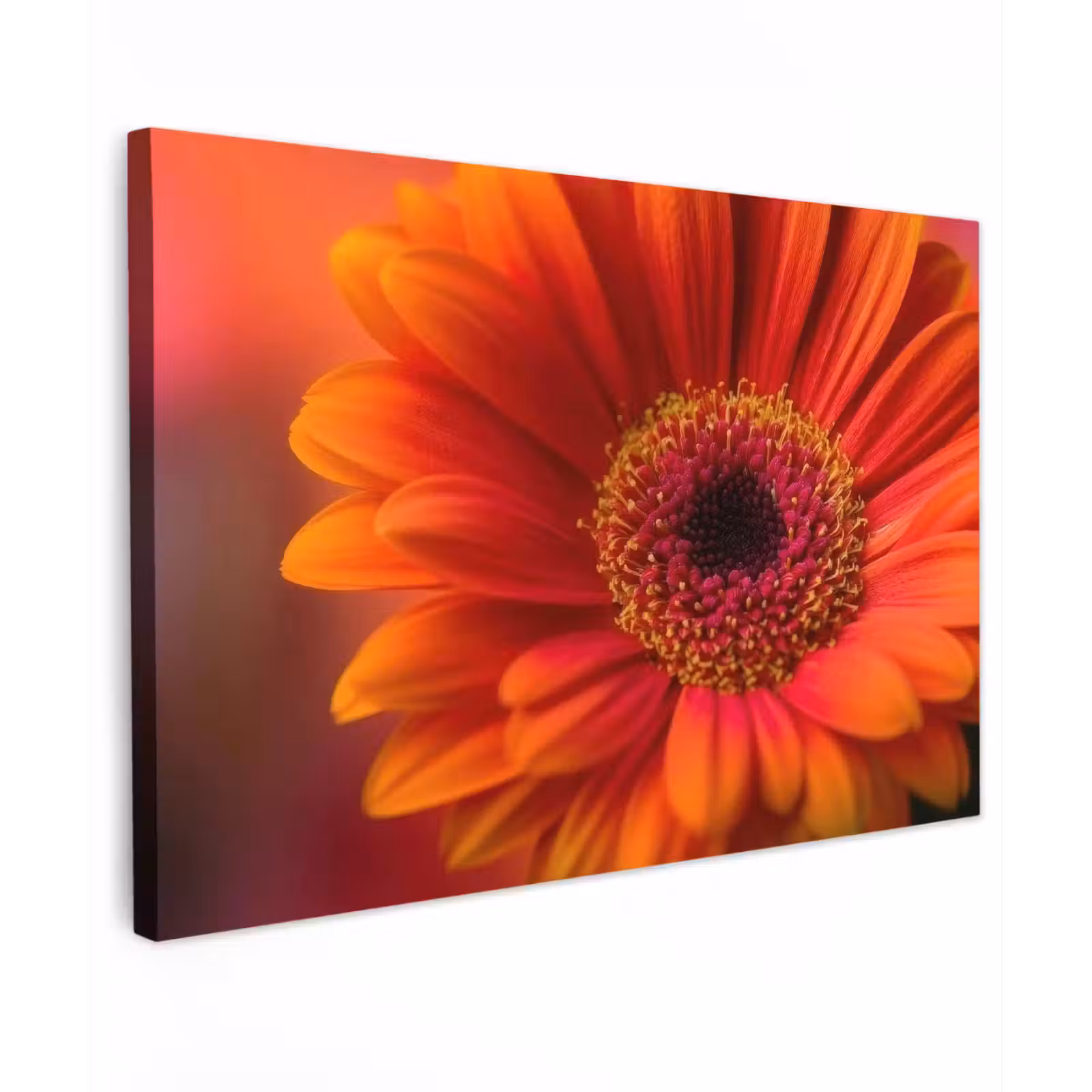 Canvas schilderij - Oranje - Gerbera - Intens — 1