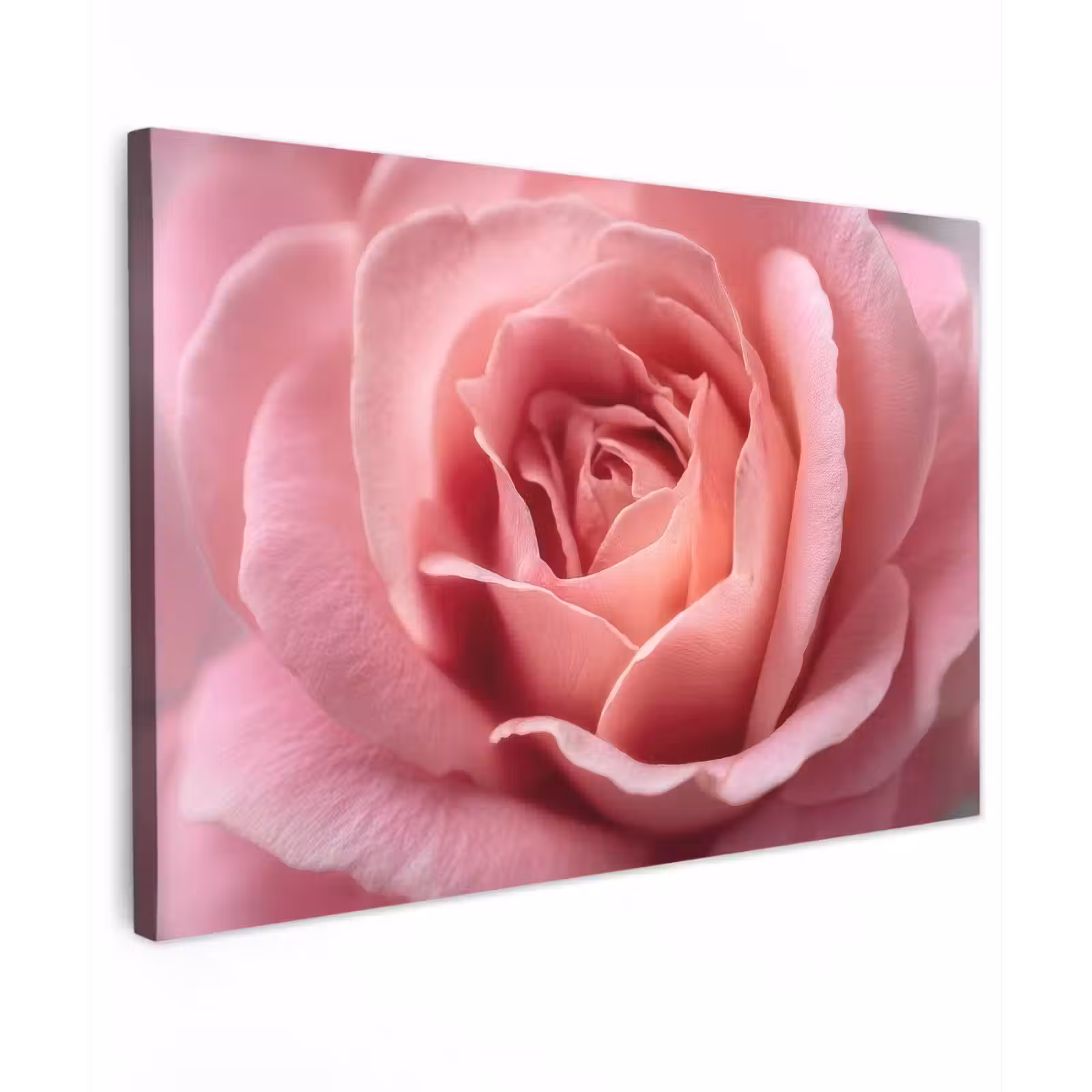 Canvas schilderij - Roze - Roos - Romantisch — 1