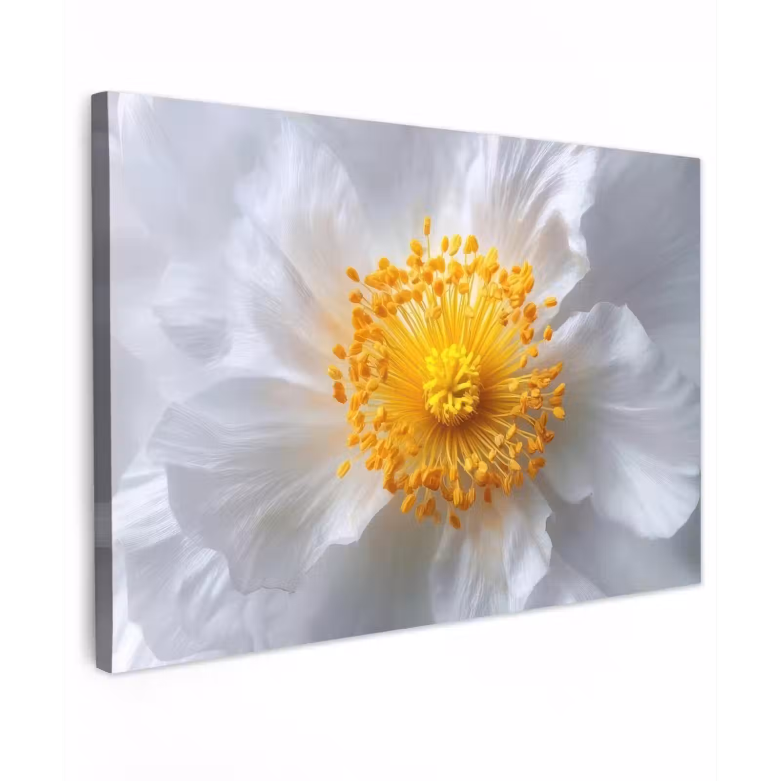 Canvas schilderij - Wit - Bloem - Elegant — 1