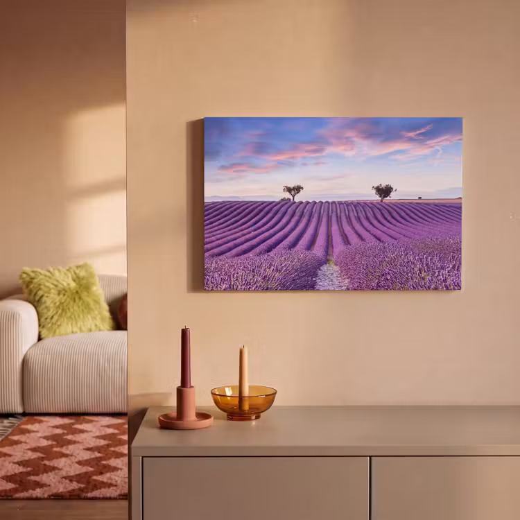 Canvas schilderij - Lavendel - Natuur - Paars - Bomen - Bloemen — 2