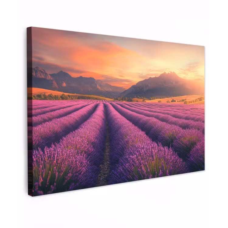 Canvas schilderij - Lavendelveld - Zonsondergang - Paars — 1