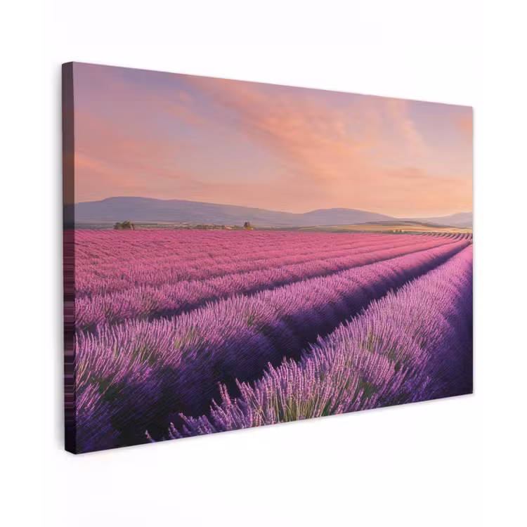 Canvas schilderij - Lavendelveld - Zonsondergang - Paars - Bloemen — 1