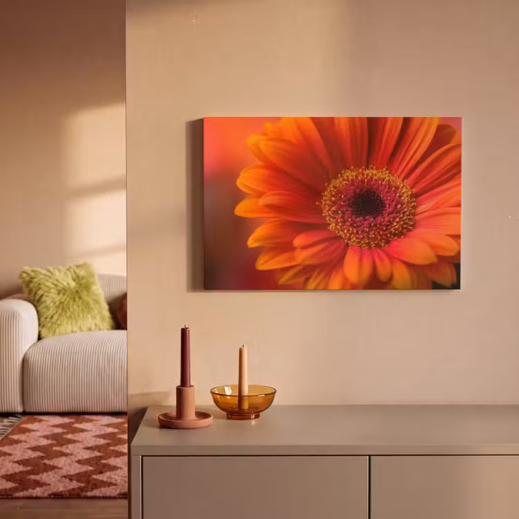Canvas schilderij - Oranje - Gerbera - Intens — 2
