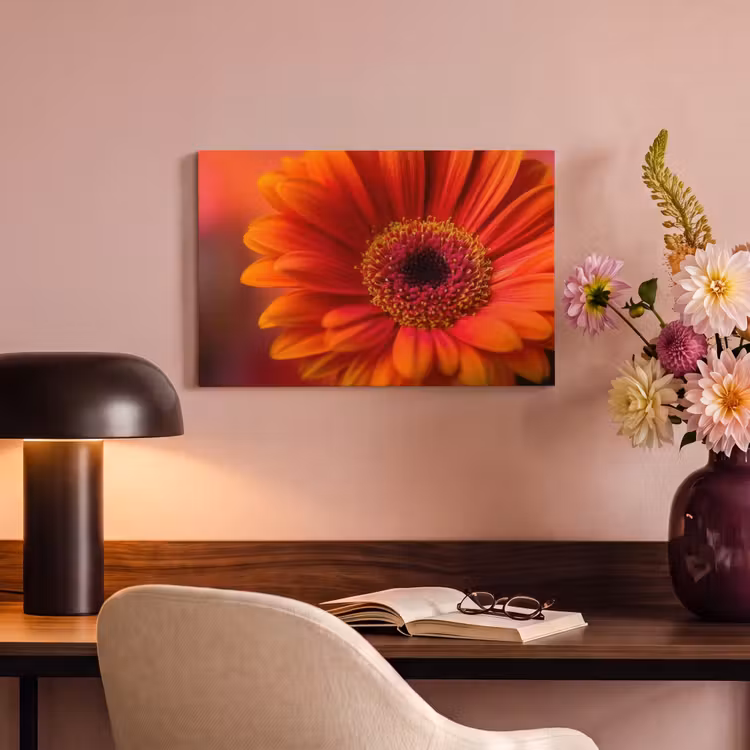 Canvas schilderij - Oranje - Gerbera - Intens — 4