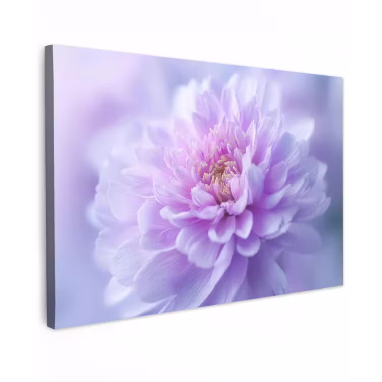 Canvas schilderij - Paars - Dahlia - Dromerig — 1