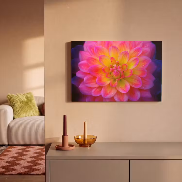 Canvas schilderij - Roze - Dahlia - Kleurrijk — 2