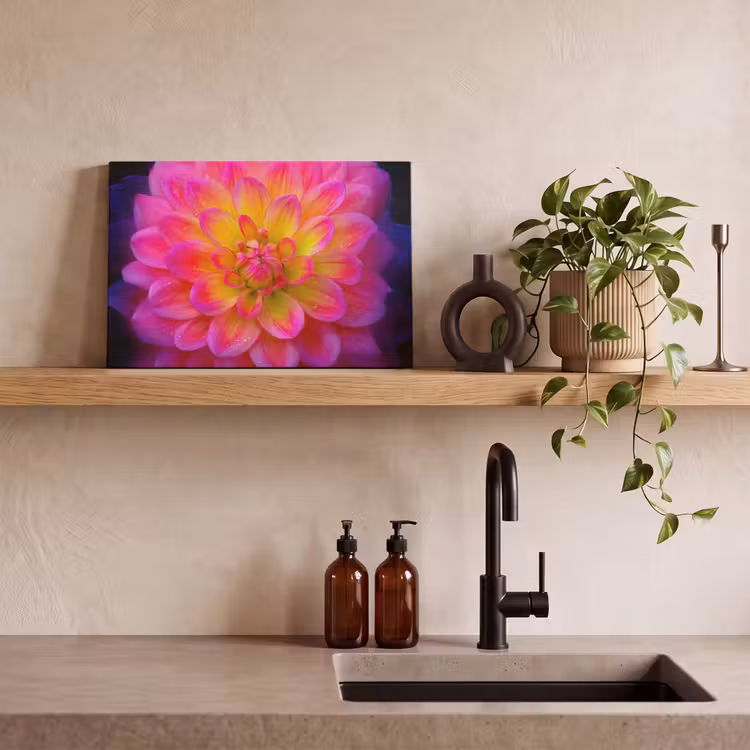Canvas schilderij - Roze - Dahlia - Kleurrijk — 3