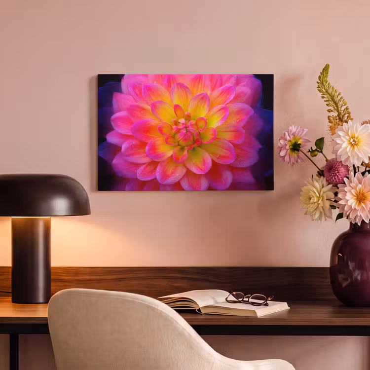 Canvas schilderij - Roze - Dahlia - Kleurrijk — 4