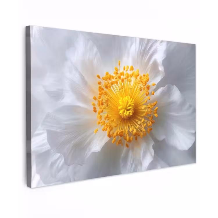 Canvas schilderij - Wit - Bloem - Elegant — 1