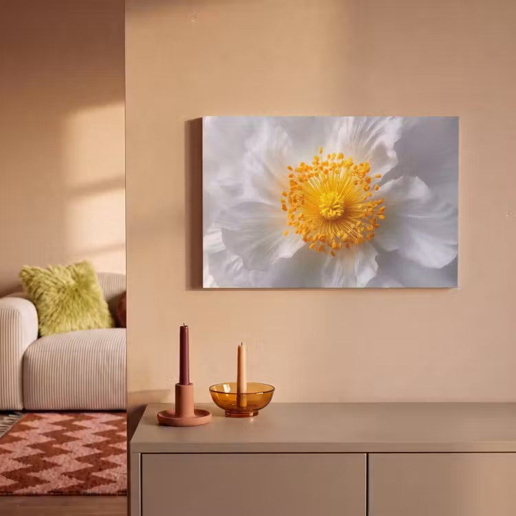 Canvas schilderij - Wit - Bloem - Elegant — 2