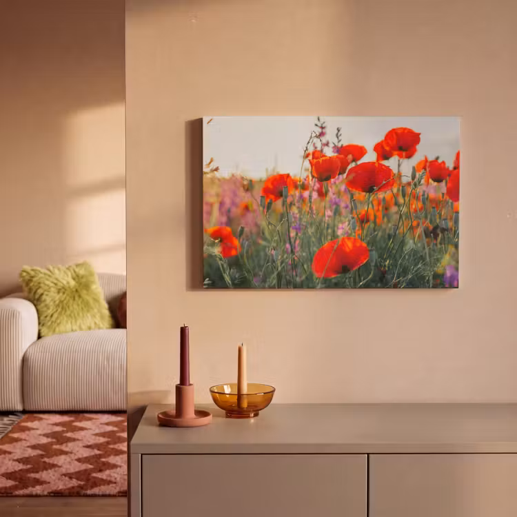 Canvas schilderij - Klaproos - Bloemen - Rood - Paars - Weide — 2
