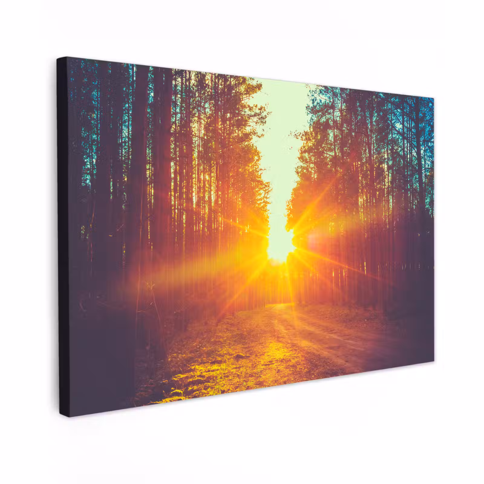 Canvas schilderij - Zonsondergang - Bomen - Bos - Natuur — 1