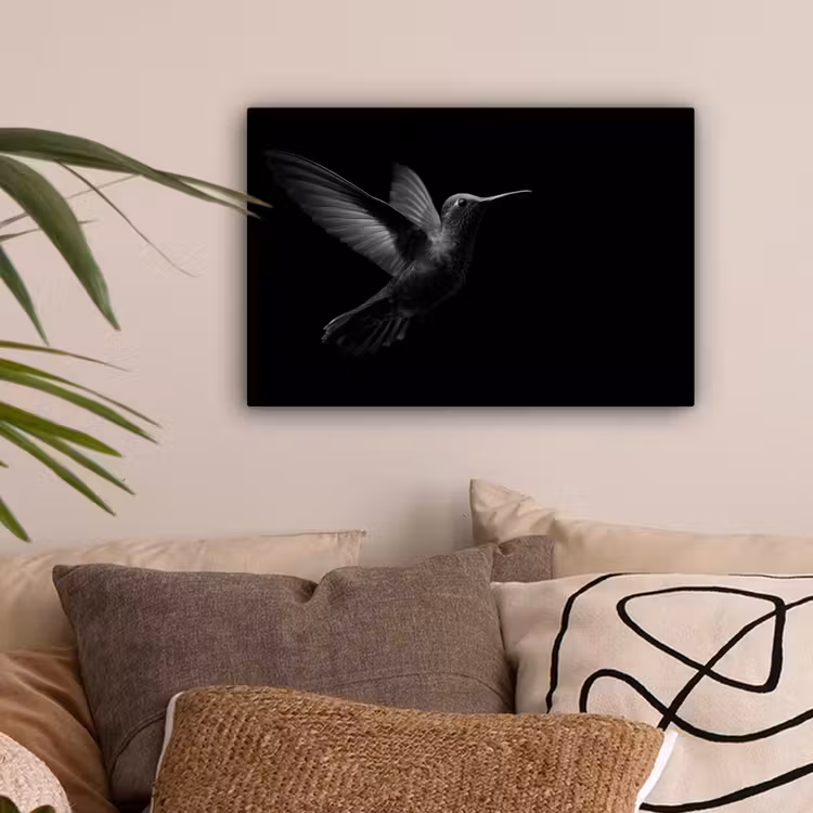 Canvas schilderij - Kolibrie - Zwart - Dieren — 2