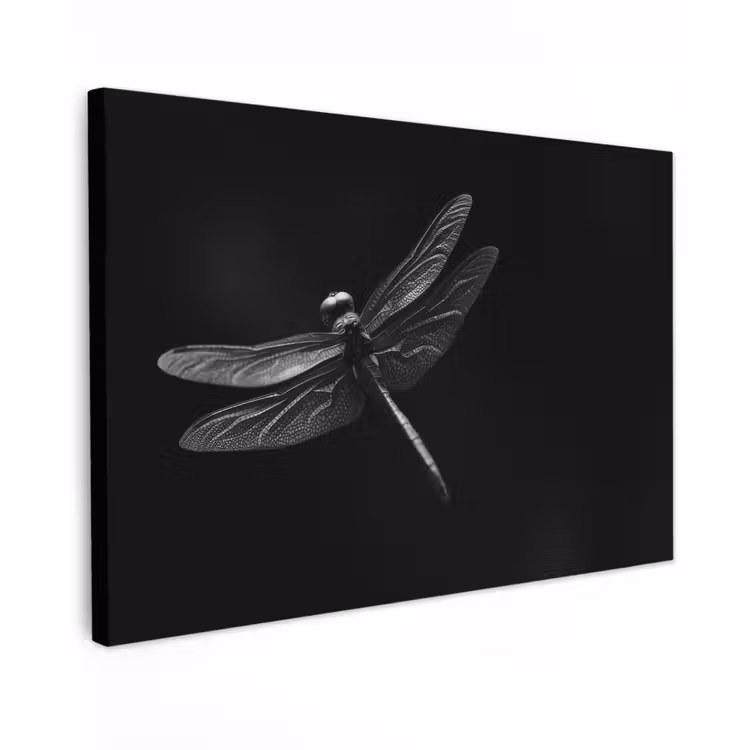 Canvas schilderij - Libelle - Dieren - Zwart - Insect — 1