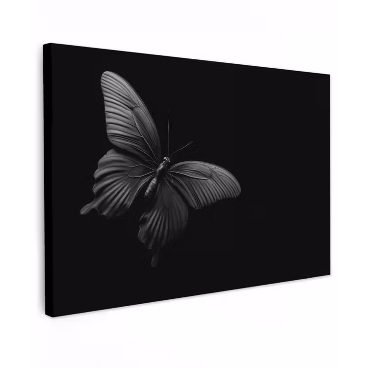 Canvas schilderij - Vlinder - Zwart - Insect - Dieren — 1