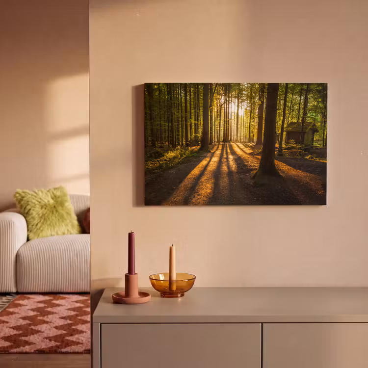 Canvas schilderij - Zon - Bomen - Bos - Landschap - Natuur — 2