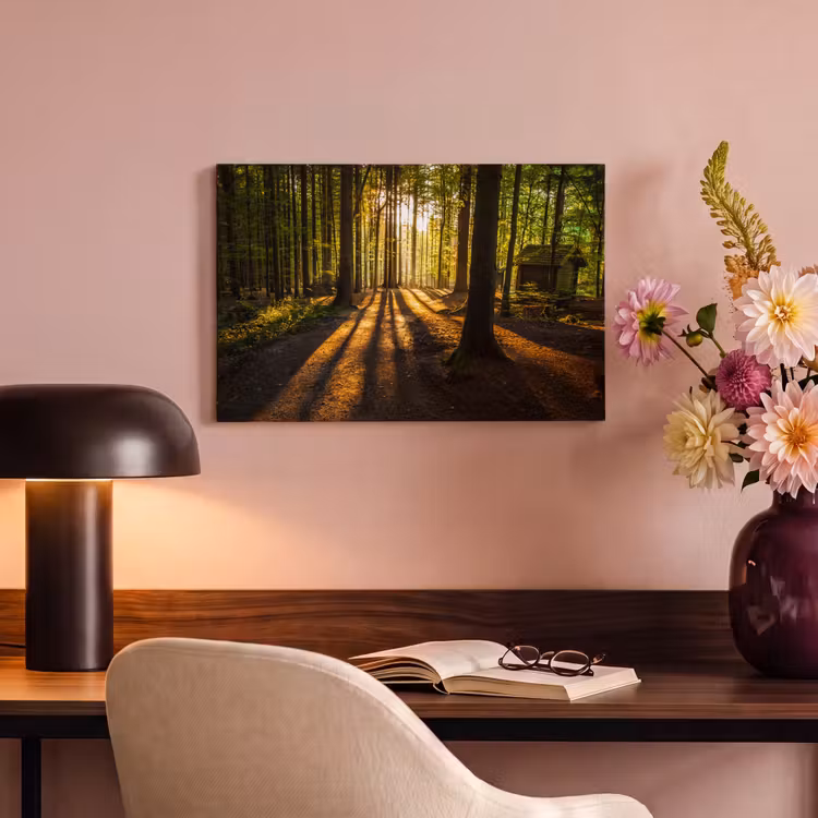 Canvas schilderij - Zon - Bomen - Bos - Landschap - Natuur — 4