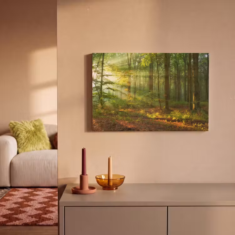 Canvas schilderij - Zon - Bos - Bomen - Natuur - Herfst — 2