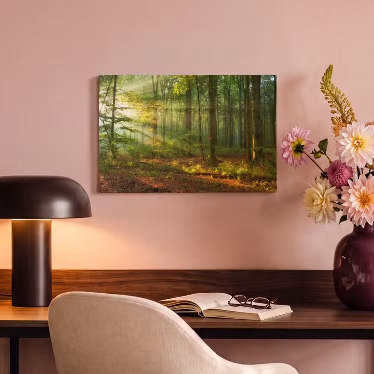 Canvas schilderij - Zon - Bos - Bomen - Natuur - Herfst — 4