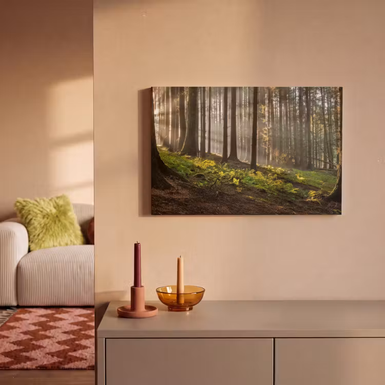 Canvas schilderij - Zon - Takken - Bomen - Bos - Natuur — 2