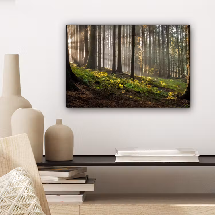 Canvas schilderij - Zon - Takken - Bomen - Bos - Natuur — 5