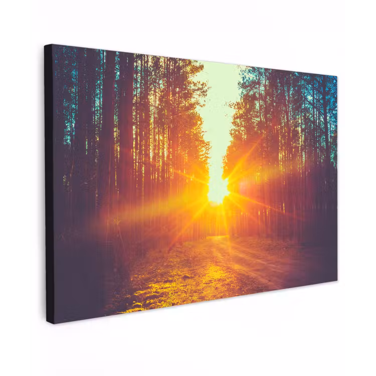 Canvas schilderij - Zonsondergang - Bomen - Bos - Natuur — 1