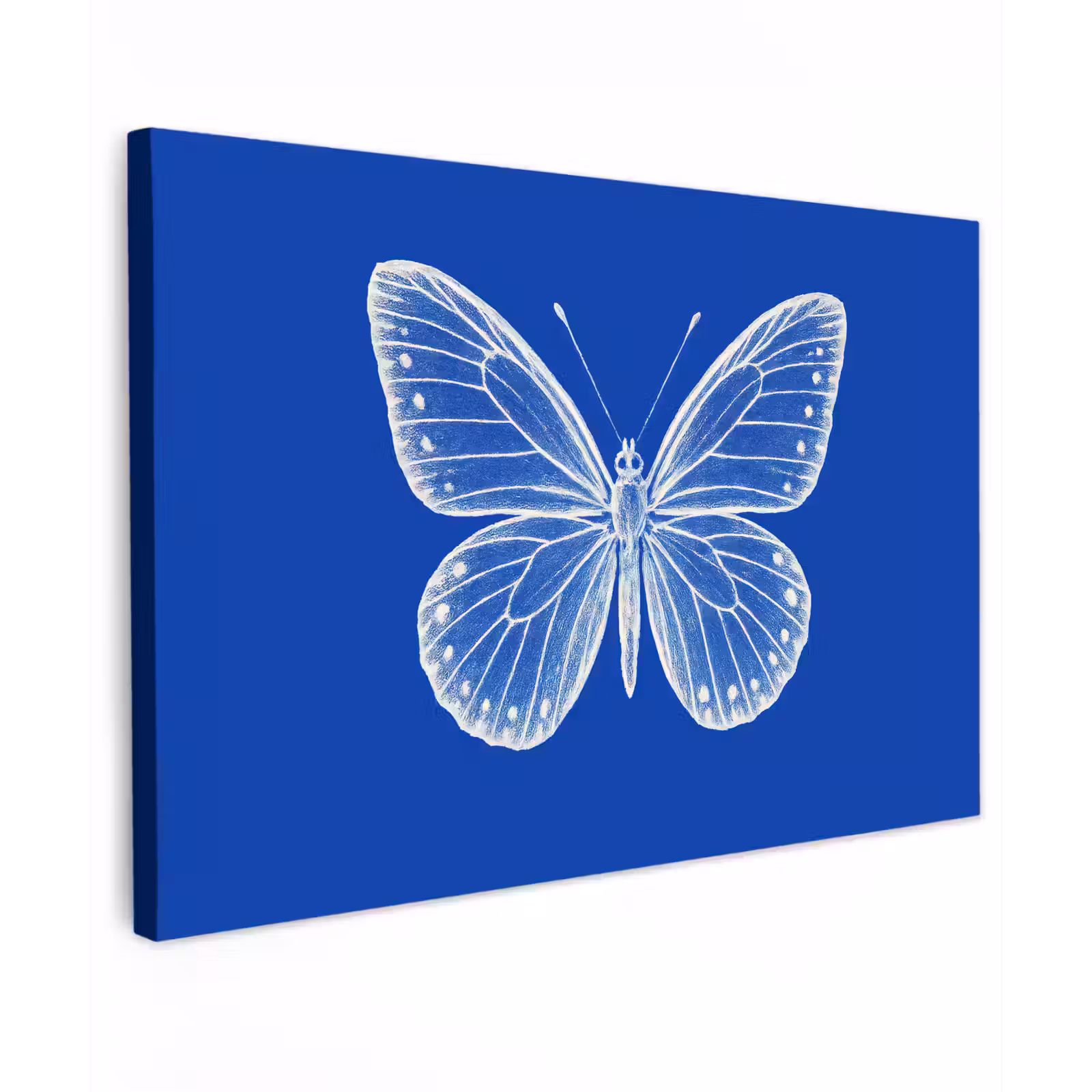 Canvas schilderij - Vlinder - Wit - Getekend - Stippen — 1