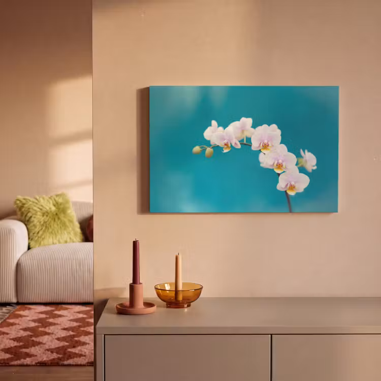 Canvas schilderij - Orchidee - Bloemen - Plant - Wit - Paars — 2