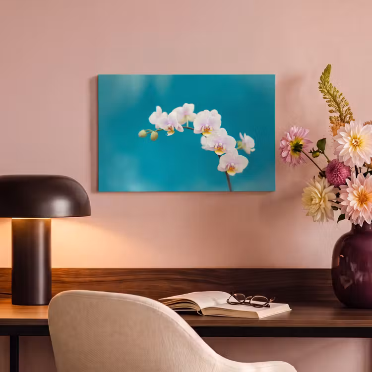 Canvas schilderij - Orchidee - Bloemen - Plant - Wit - Paars — 4