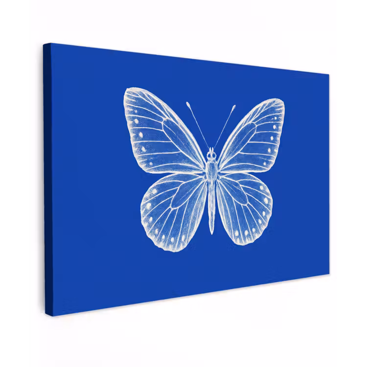 Canvas schilderij - Vlinder - Wit - Getekend - Stippen — 1