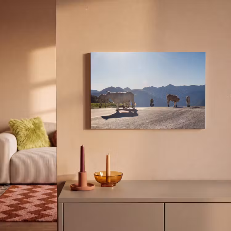 Canvas schilderij - Schotse hooglander - Licht - Berg - Natuur — 2
