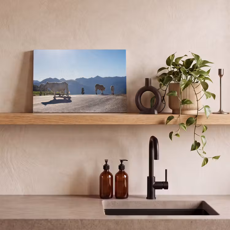Canvas schilderij - Schotse hooglander - Licht - Berg - Natuur — 3