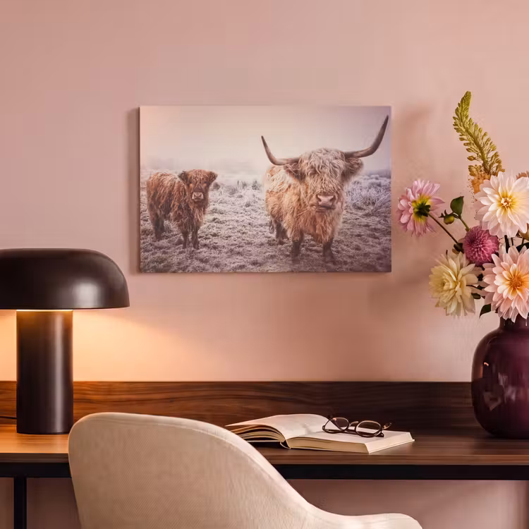 Canvas schilderij - Schotse hooglanders - Licht - Lucht - Natuur — 4