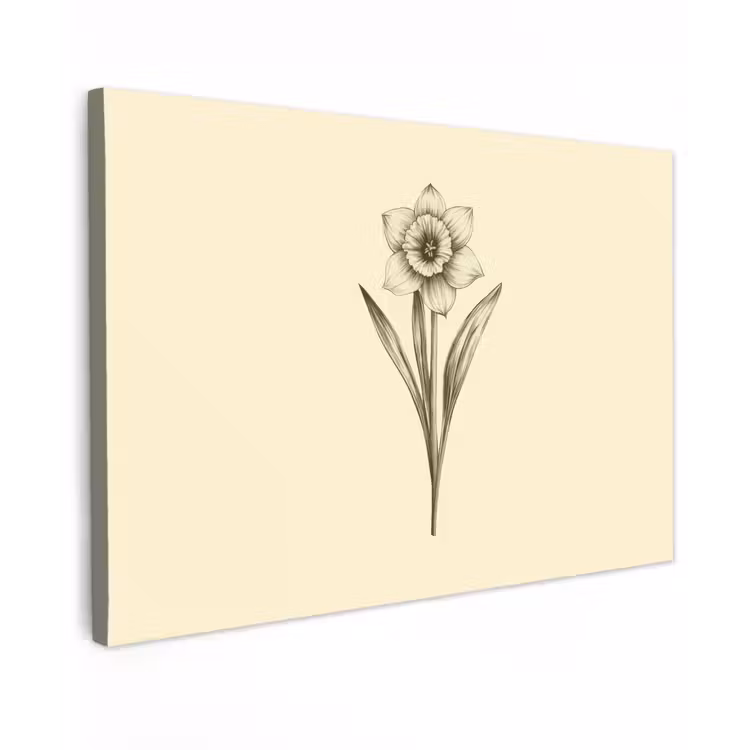 Canvas schilderij - Zwart - Narcis - Illustratie — 1