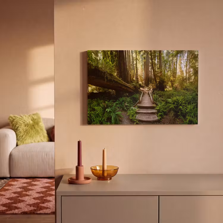 Canvas schilderij - Jungle - Natuur - Trap - Bomen — 2