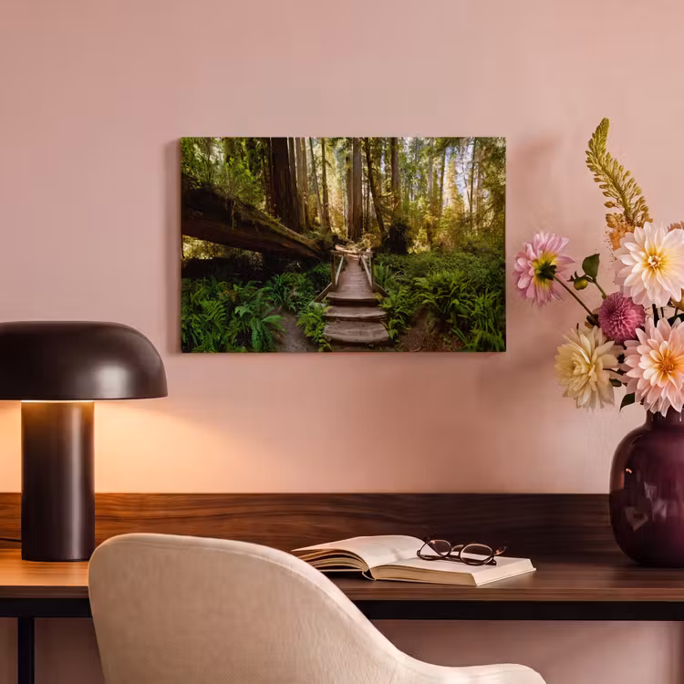 Canvas schilderij - Jungle - Natuur - Trap - Bomen — 4