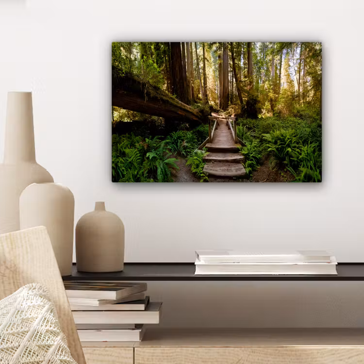 Canvas schilderij - Jungle - Natuur - Trap - Bomen — 5