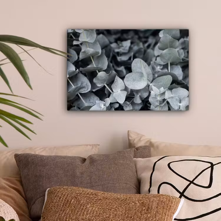 Canvas schilderij - Natuur - Planten - Eucalyptus - Bladeren — 2