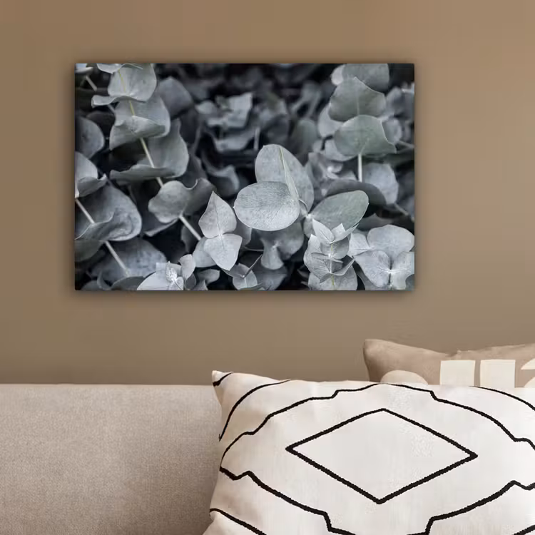 Canvas schilderij - Natuur - Planten - Eucalyptus - Bladeren — 3