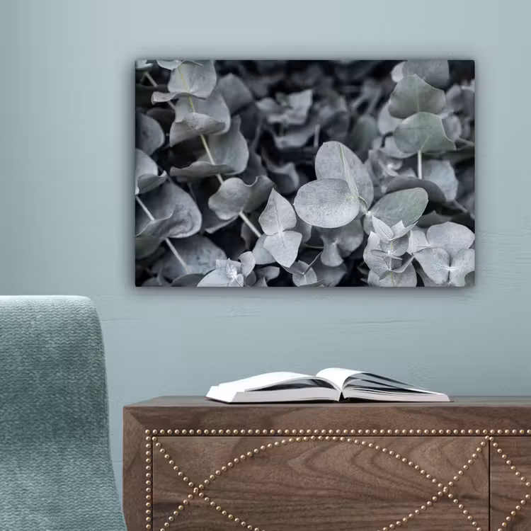Canvas schilderij - Natuur - Planten - Eucalyptus - Bladeren — 4
