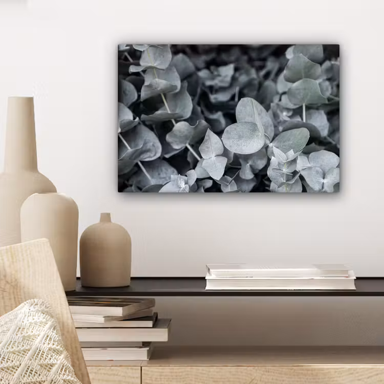 Canvas schilderij - Natuur - Planten - Eucalyptus - Bladeren — 5