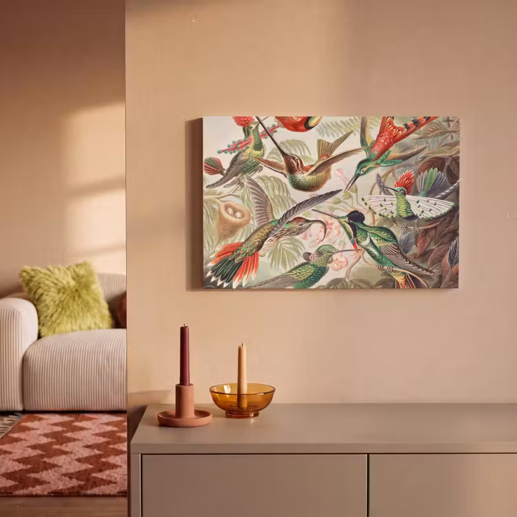 Canvas schilderij - Kolibrie - Vintage - Ernst Haeckel - Vogel - Kunst - Natuur — 2