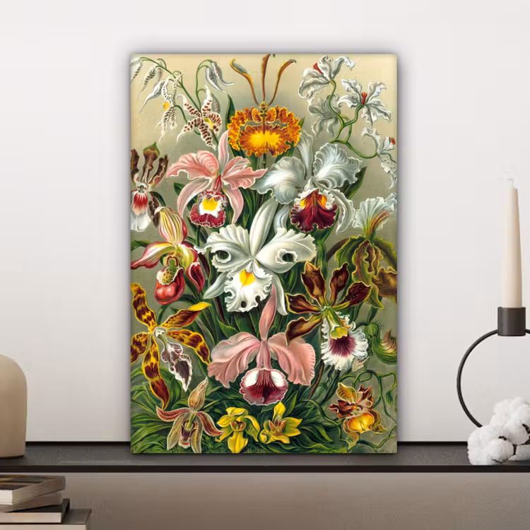 Canvas schilderij - Planten - Natuur - Bloemen - Ernst Haeckel — 5