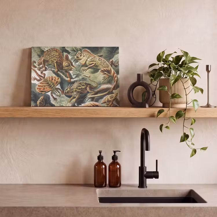 Canvas schilderij - Vintage - Kunst - Ernst Haeckel - Salamanders - Dieren — 3